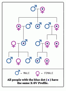 mtDNA Female Line DNA - Trusted - Accurate | PaternityUSA